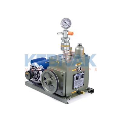 Lab Model High Vacuum Pump With Nrv Vgr