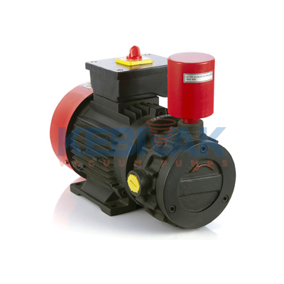 Monoblock Dry Vacuum Pump2