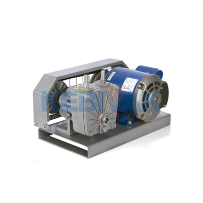 Vacuum Pressure Pump